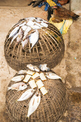 Dried fish on the basket 