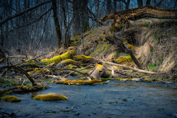 Beautiful colorful spring forest landscape with streaming river and falling trees. High quality photo