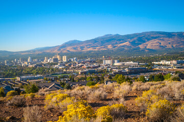 Fototapeta na wymiar Reno autumn city skyline over Nuttall’s Rayless-Goldenrod flowers and red rock hill in the state capital of Nevada, aerial view of the arid landscape of the desert city