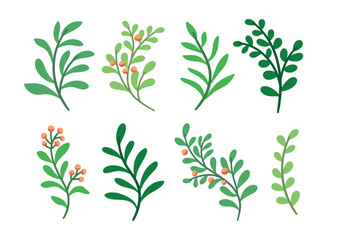 Set of vector botanical digital elements. Hand drawn illustration with leaves and plants.  Floral ornaments for card, logo design, print fashion.