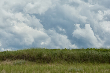 Cloudy, pre-storm sky over tree tops of forest