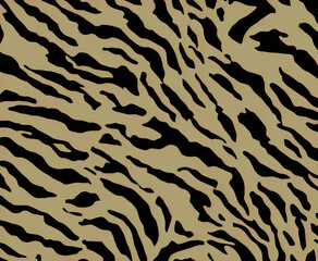 Illustration Top View Animal Fur Zebra