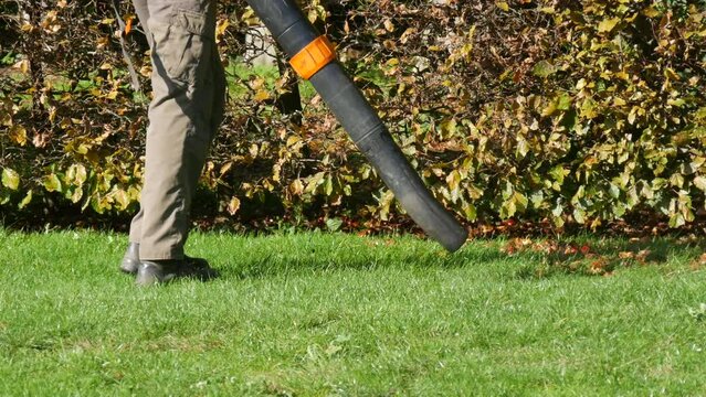 A janitor removes chestnuts and fallen leaves from a green lawn with a special outdoor vacuum cleaner