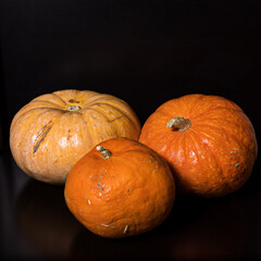 Three yellow-orange pumpkins on a black background, the concept of Halloween and the autumn harvest of pumpkins