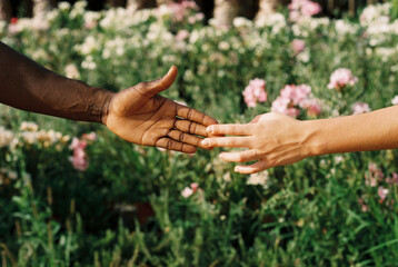 multiracial hands