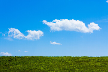 Obraz premium green field and blue sky
