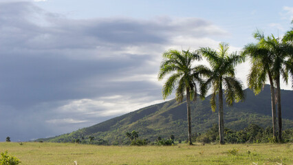 dominican republic