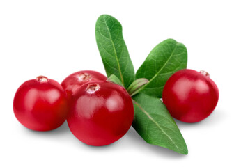 Red cranberries isolated on background