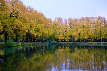 Herbst Landschaft mit intensiven Farben an einem See