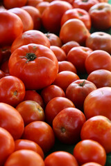 Farmers Market Bounty