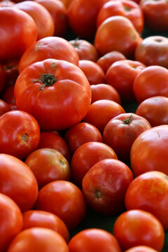 Farmers Market Bounty