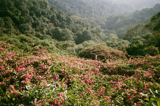Baiyun Mountain picturesque scenery