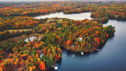 Fall and autumn colours of the natural environments and landscapes of Eastern Ontario Canada.  Featuring forest, lakes and majestic vistas of scenic locations.   - 537929681