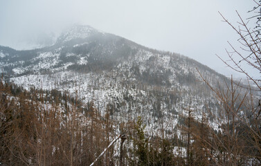 View of rocky cliffs in the mountains with snow.