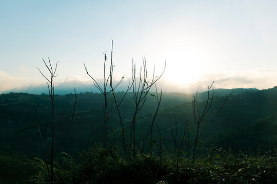 Foggy morning view in the countryside of Italy