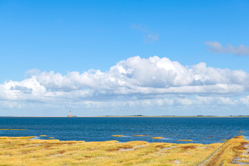North German west coast landscape - 4953