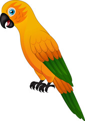 Cute macaw parrot on white background