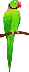 Cute macaw parrot cartoon on tree branch