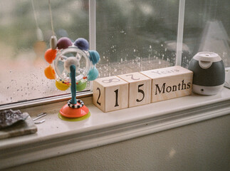 Baby milestone blocks