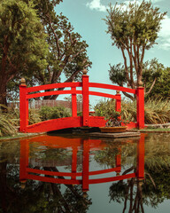 Fototapeta na wymiar Beautiful Japanese red wooden bridge with water reflection in a garden park in puerto rico on evening time, ponce