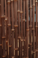 Beautiful brown vertical bamboo background from a Japanese garden park from puerto rico, ponce