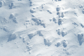 Snow Patterns created by the Wind