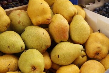 Ripe mango fruits on sale at grocery store