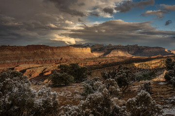 Snow Covered Bushes In Capitol Reef Desert