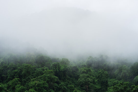 The mist covers the mountains