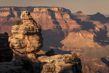 Grand Canyon south rim and boulder at golden sunset, Arizona, USA