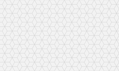 White with hexagonal mesh texture. Stylish hexagonal line pattern background