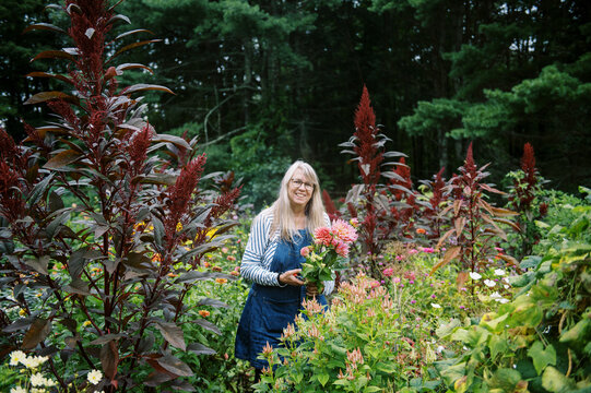 Senior woman with white hair harvesting flowers in her garden