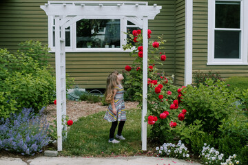 Little girl in the garden looking at red roses