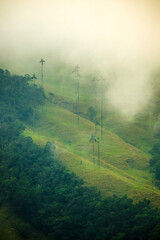 Obraz premium Cloud Forest Aerial Vision Drone Above Cocora Valley Colombian Andean Mountain Forest near Salento Town