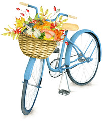 Watercolor Bicycle with Autumn Basket in PNG format. Pumpkin Basket. Fall scene - 537946483