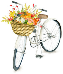 Fototapeta na wymiar Watercolor Bicycle with Autumn Basket in PNG format. Pumpkin Basket. Fall scene