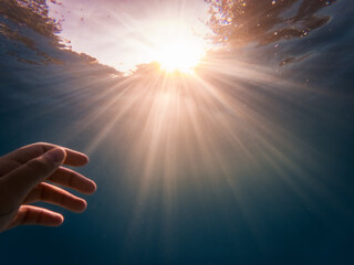 Underwater shot in a lake, a hand reaching out towards the surface.
