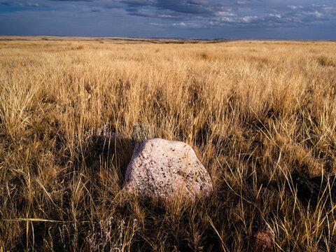 A rock on the native prairie grass in the summer.