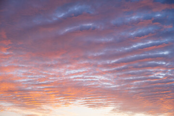 Naklejka na ściany i meble Stunning colorful sunset, blue sky, yellow purple cirrus clouds