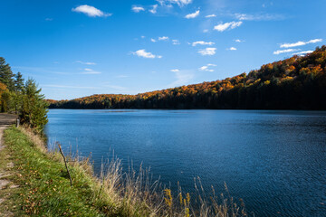 Fall coloured trees landscape along the lake in Ontario, Canada