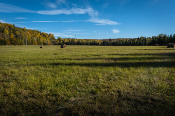 Fototapeta premium Wide angle Field with Hay bales with fall color trees on horizon