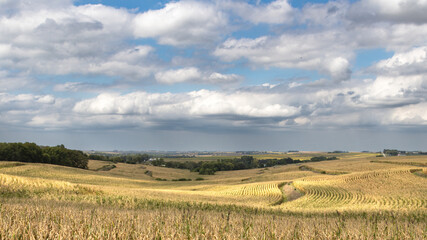 Fototapeta na wymiar The Iowa countryside is more beautiful than imaginable. 