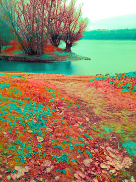 Dry fallen leaves on the wet shore by the green lake water.