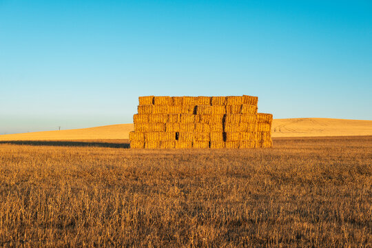 Hay bale stacked in the field