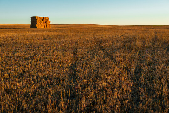Hay bale stacked in the field
