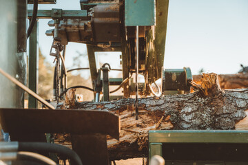 wood cutting machine 