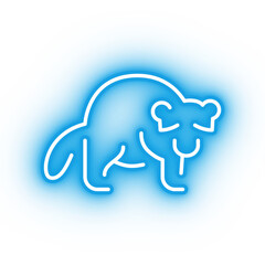 Neon blue raccoon icon, glowing panda icon on transparent background