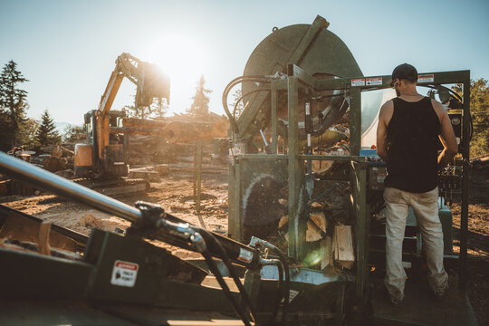 woodworker operating cutting machine