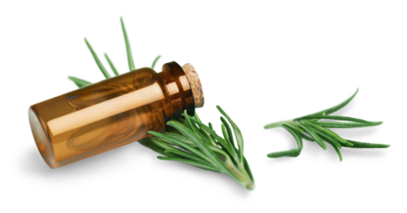 Rosemary essential oil isolated on white