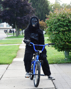 Gorilla Riding on Bicycle Outside